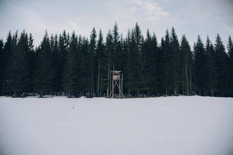 nature, Snow, Trees, Forest HD Wallpaper Desktop Background