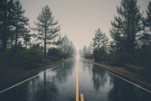 nature, Road, Trees, Reflection, Wet, Rain
