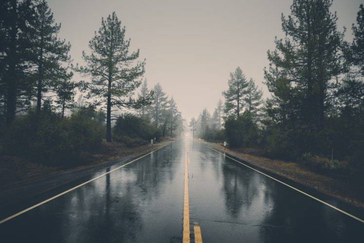 nature, Road, Trees, Reflection, Wet, Rain HD Wallpaper Desktop Background