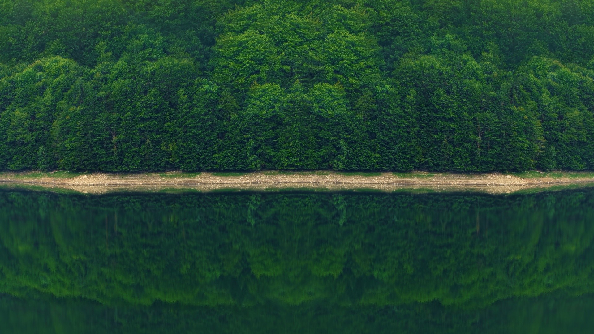 photography, Nature, Forest, Landscape, Trees, River, Reflection, Monsoon Wallpaper