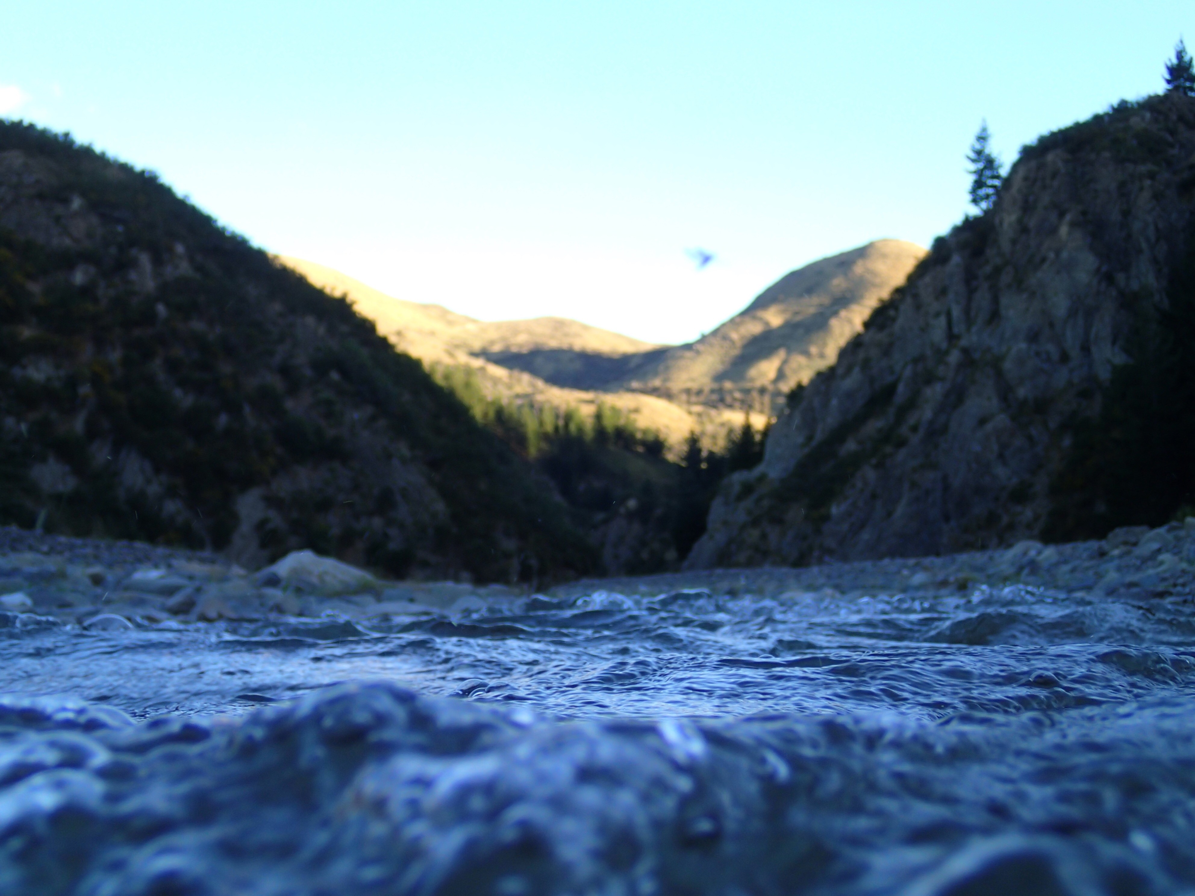 nature, Water, River, Closeup, Blurred Wallpaper