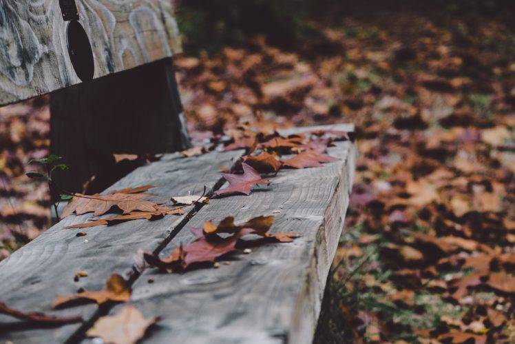 nature, Fall, Bench, Leaves, Fallen leaves HD Wallpaper Desktop Background