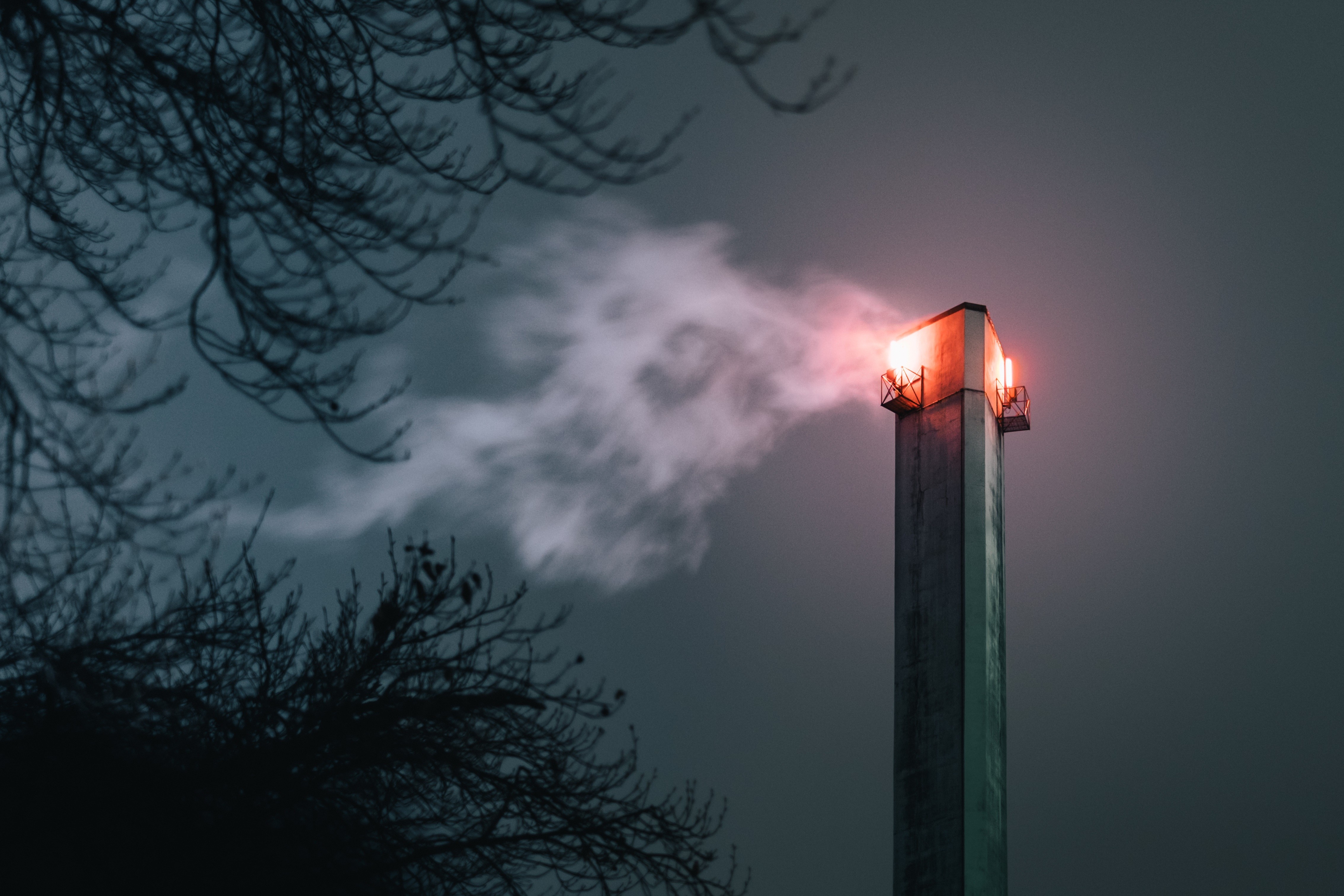 night, Smoke, Plants, Lights Wallpaper