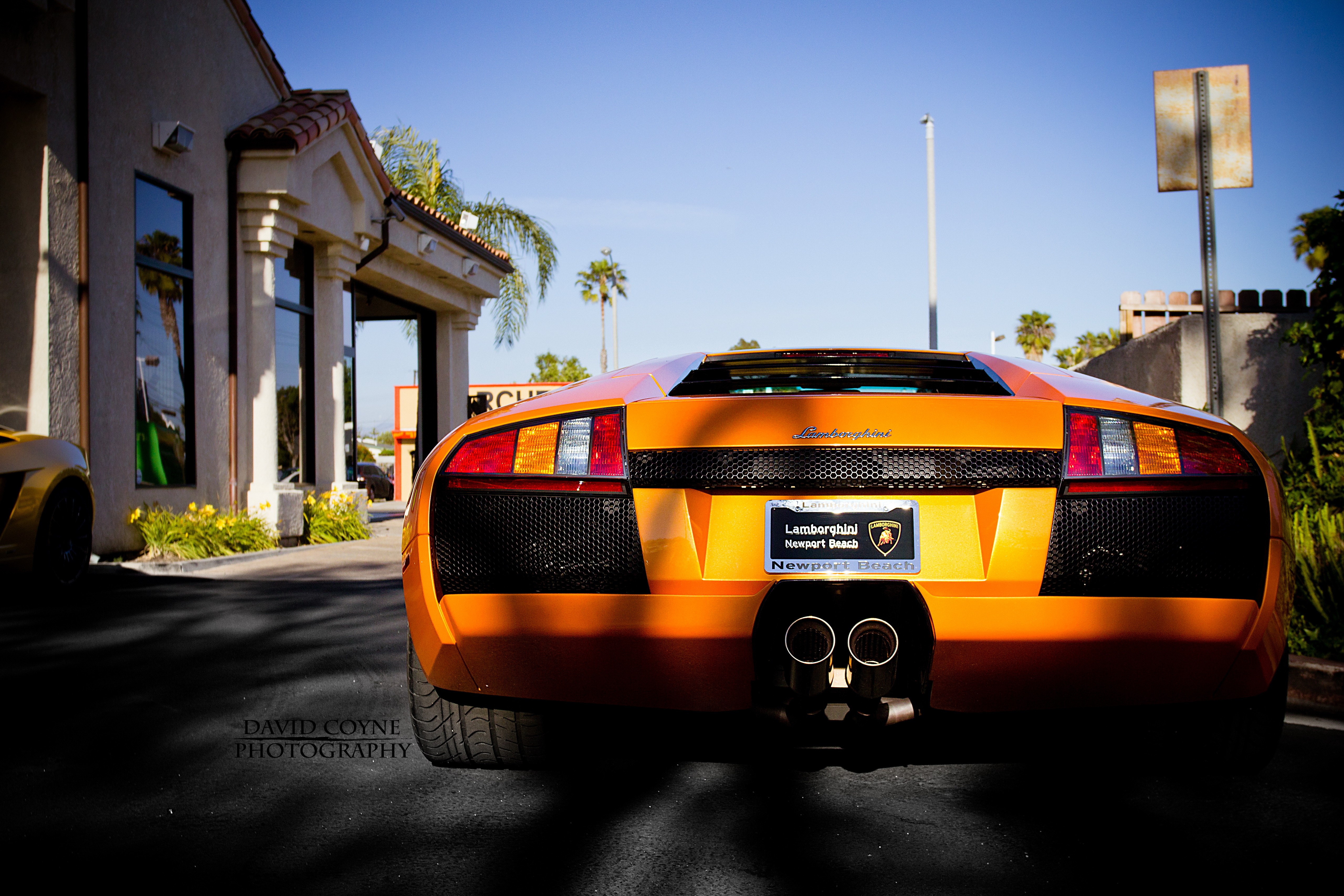 Lamborghini Murcielago, Car Wallpaper