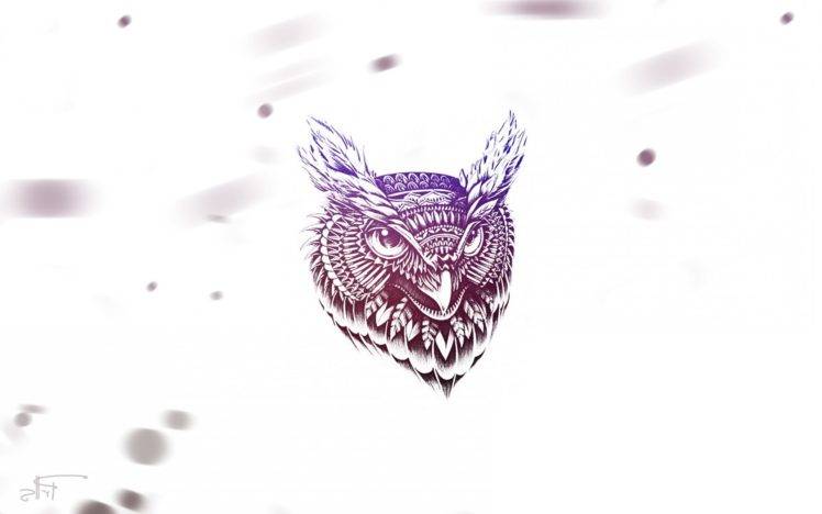 owl, Minimalism, Feathers, Animals HD Wallpaper Desktop Background