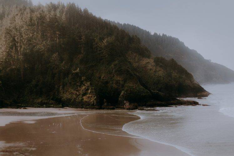 beach, Forest, Landscape HD Wallpaper Desktop Background