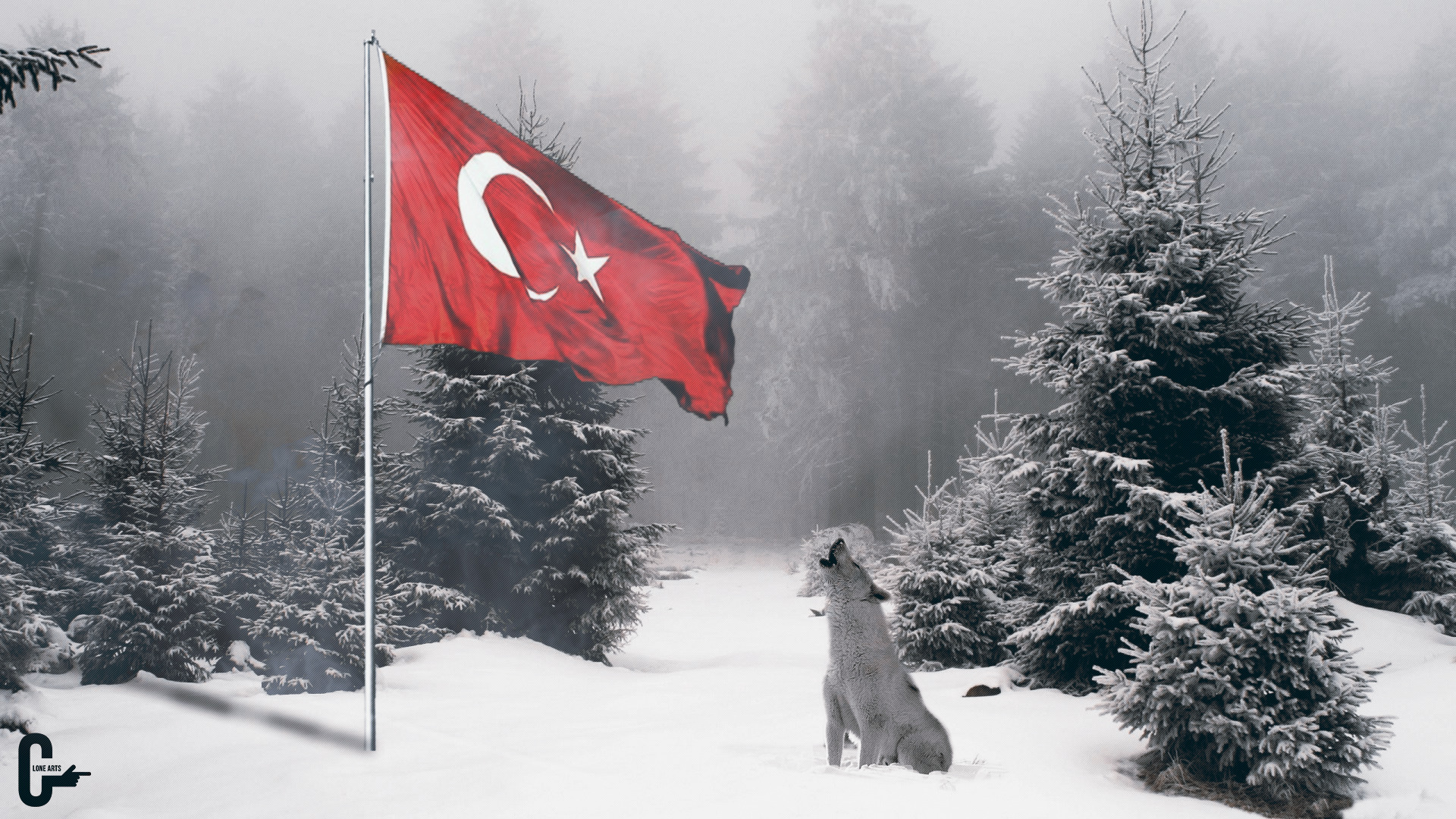 Bozkurt, Wolf, Snow, Forest, Nature Wallpaper