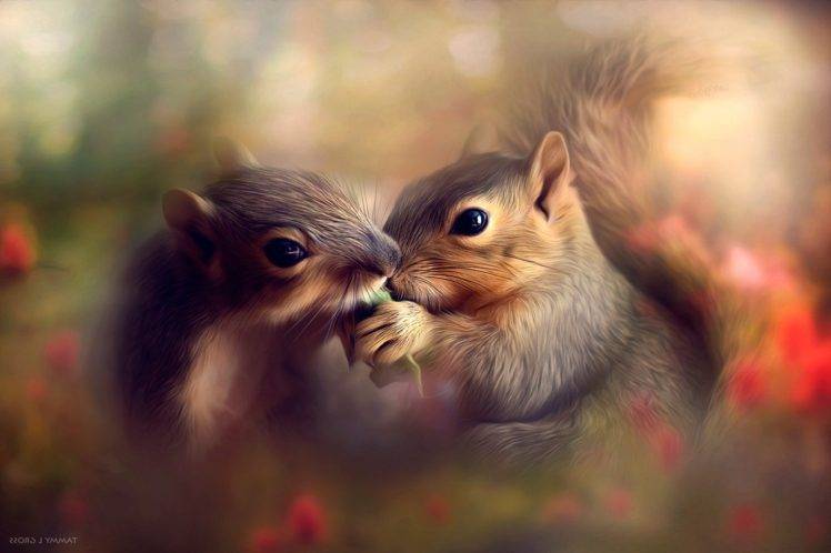 couple, Photography, Animals, Flowers, Sharing is caring, Bokeh, Squirrel HD Wallpaper Desktop Background