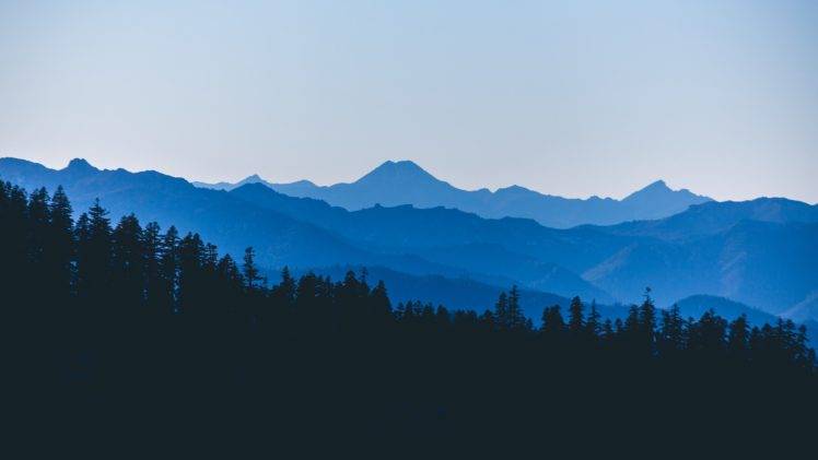 nature, Landscape, Trees, Forest, Mountains, Mist, Clear sky HD Wallpaper Desktop Background