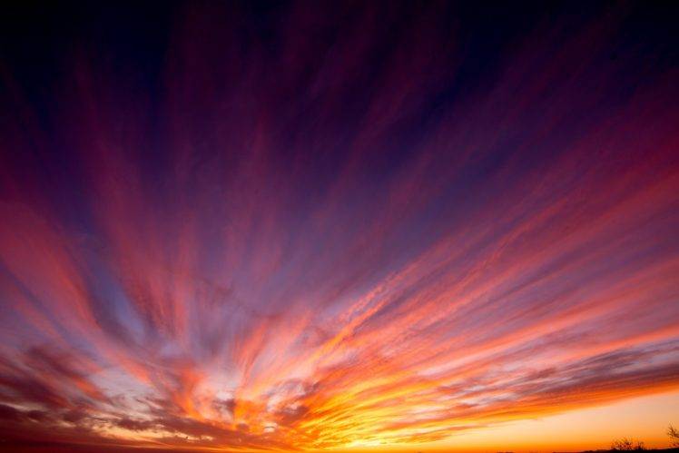 landscape, Sky, Colorful, Clouds, Photography, Nature, Sunset, Horizon, Plants HD Wallpaper Desktop Background