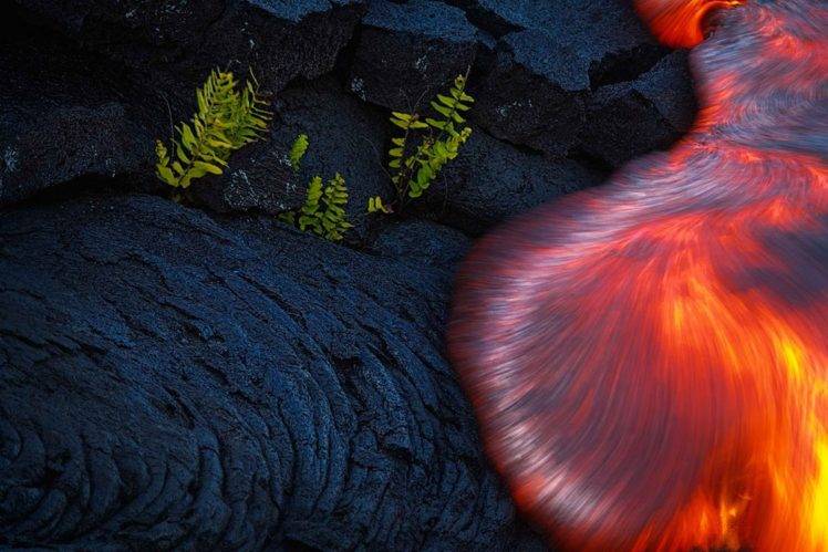 nature, Landscape, Long exposure, Burning, Lava, Volcano, Plants HD Wallpaper Desktop Background