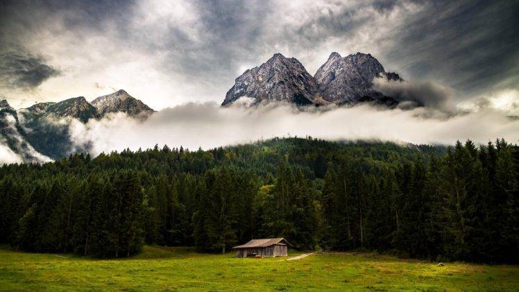 clouds, Forest, Trees, Mountains, Mist HD Wallpaper Desktop Background
