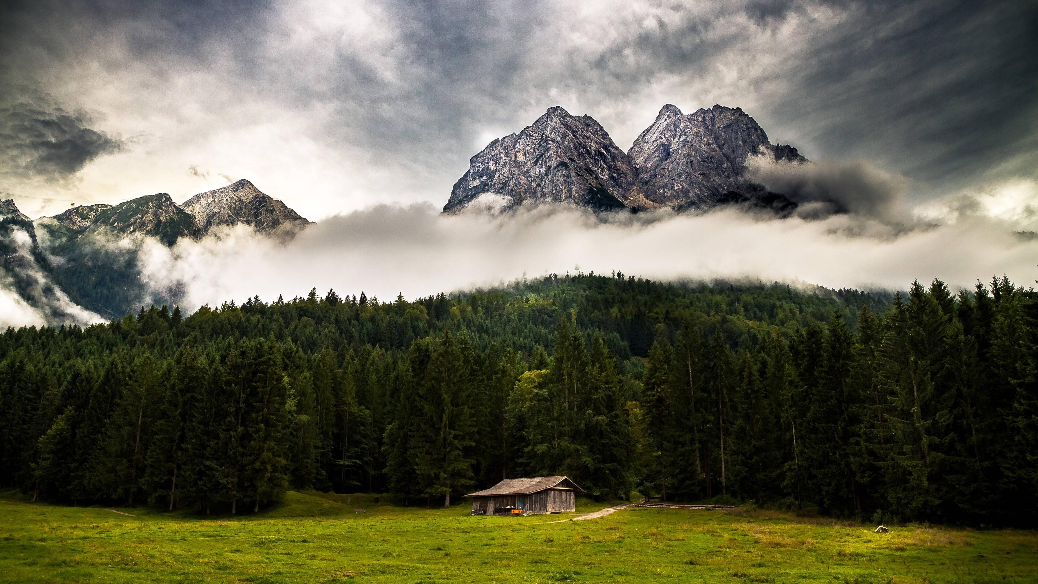 clouds, Forest, Trees, Mountains, Mist Wallpaper