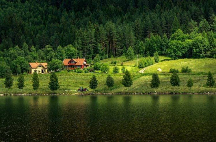 trees, Lake, Cabin, Cottage, Landscape HD Wallpaper Desktop Background