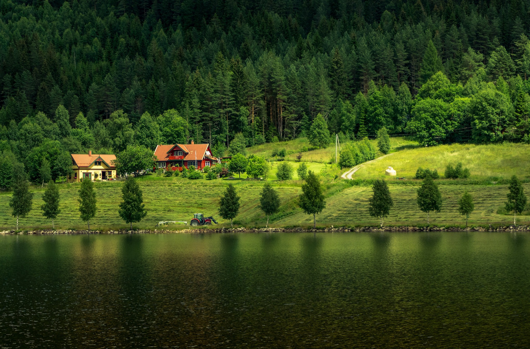 trees, Lake, Cabin, Cottage, Landscape Wallpaper