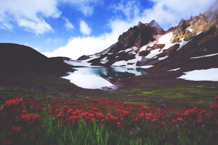 nature, Landscape, Mountains, Flowers, Lake HD Wallpaper Desktop Background