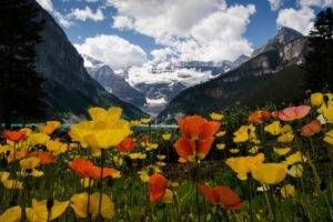 flowers, Mountains, Sky, Clouds, Nature