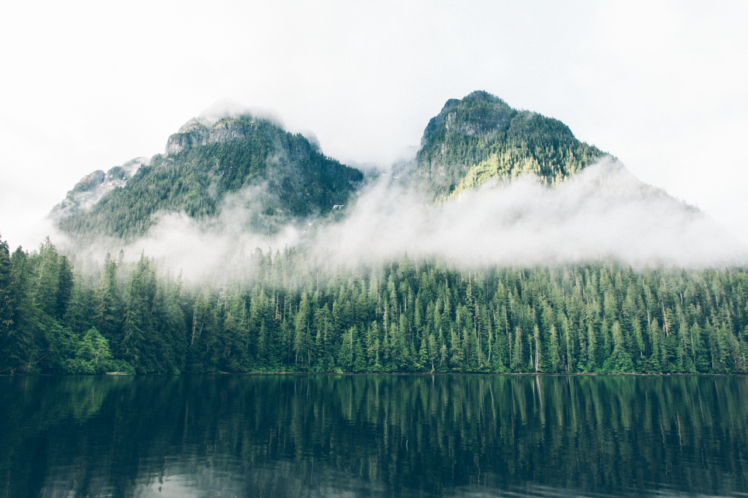 nature, Mountains, Water, Forest HD Wallpaper Desktop Background