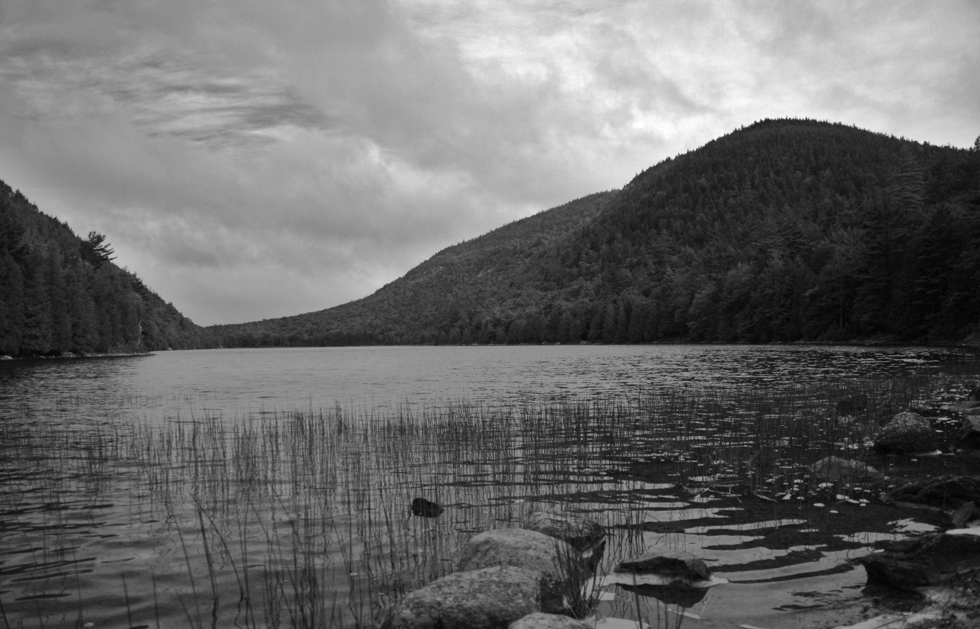 White lake. Озеро черно белое. Озеро с черной водой. Черное и белое озеро. Пейзаж озеро черно-белый.