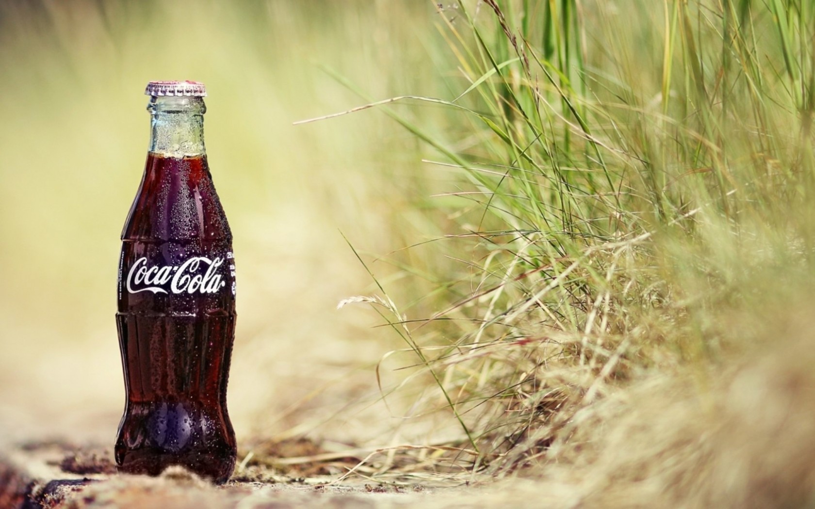 Coca Cola, Grass, Bottles Wallpaper