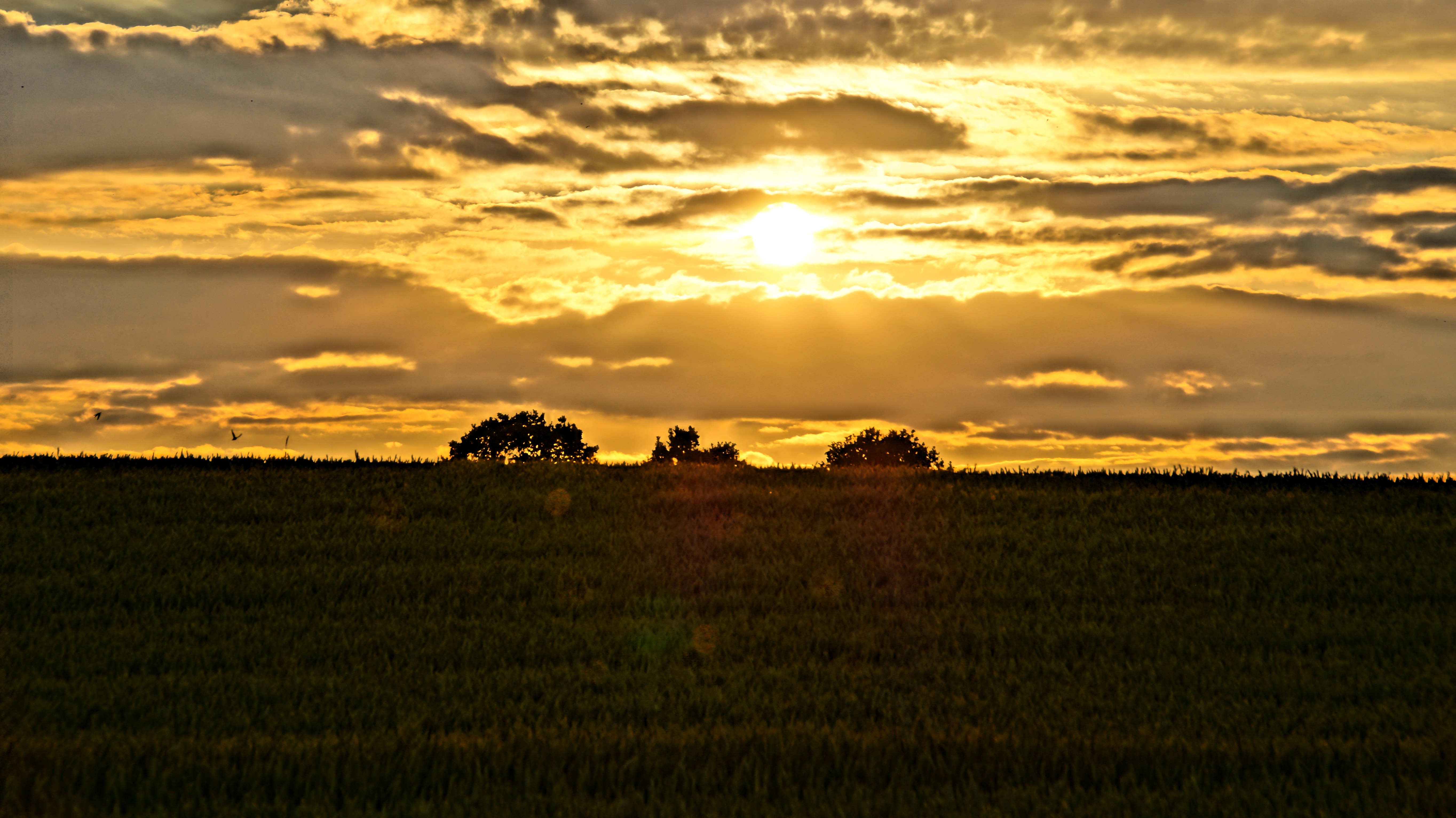 sunset, HDR, Field, Clouds Wallpaper
