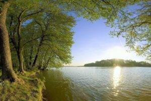 nature, Water, Trees, Landscape