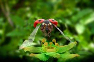 nature, Animals, Macro, Ladybugs, Closeup, Flying, Wings, Insect, Leaves, Depth of field, Plants, CGI
