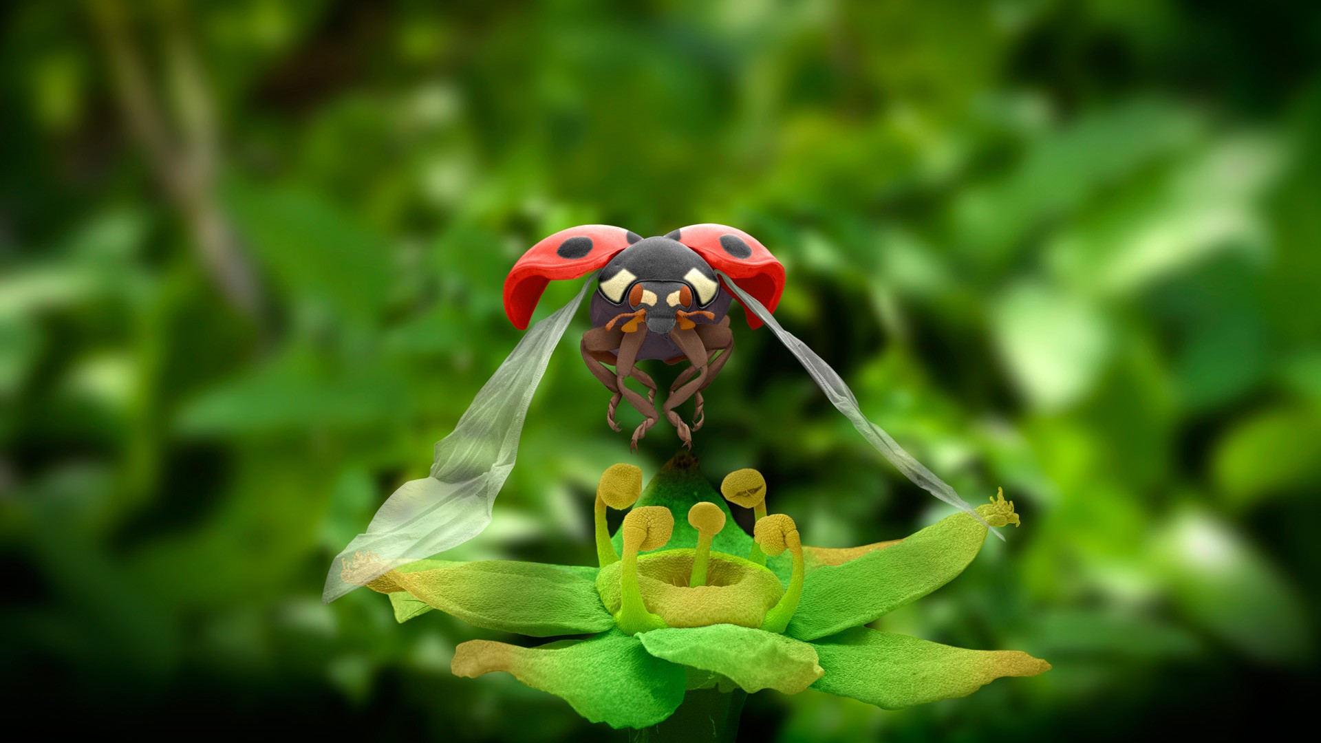 nature, Animals, Macro, Ladybugs, Closeup, Flying, Wings, Insect, Leaves, Depth of field, Plants, CGI Wallpaper