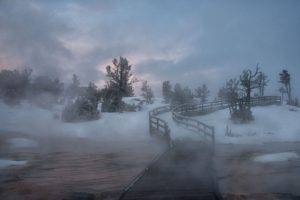 nature, Landscape, Photography, Winter, Sunset, Snow, Trees, Shrubs, Path, Mist, Cold, Wyoming