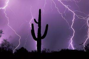 lightning, Silhouette, Night, Nature, Cactus, Purple