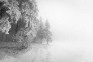 landscape, Winter, Trees, Snow, Nature