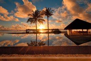 beach, Reflection, Palm trees, Sunset