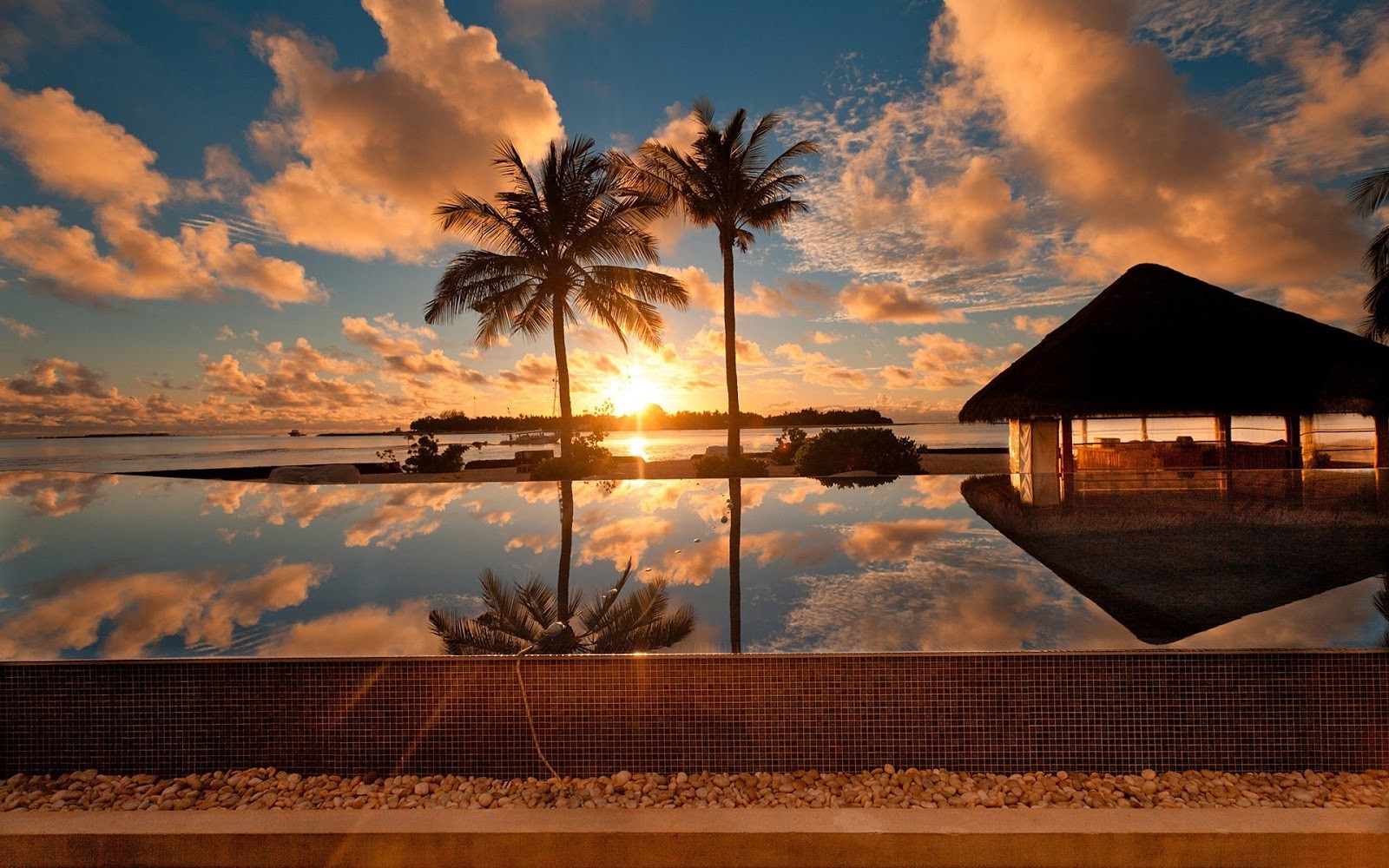 beach, Reflection, Palm trees, Sunset Wallpaper