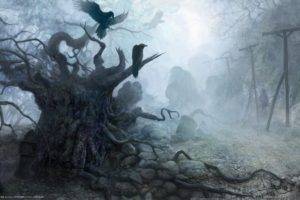 raven, Deep forest, Mist, The Witcher
