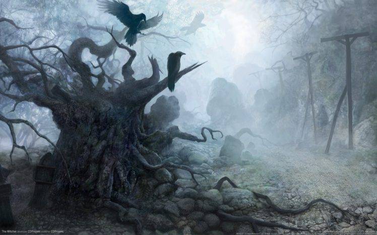 raven, Deep forest, Mist, The Witcher HD Wallpaper Desktop Background