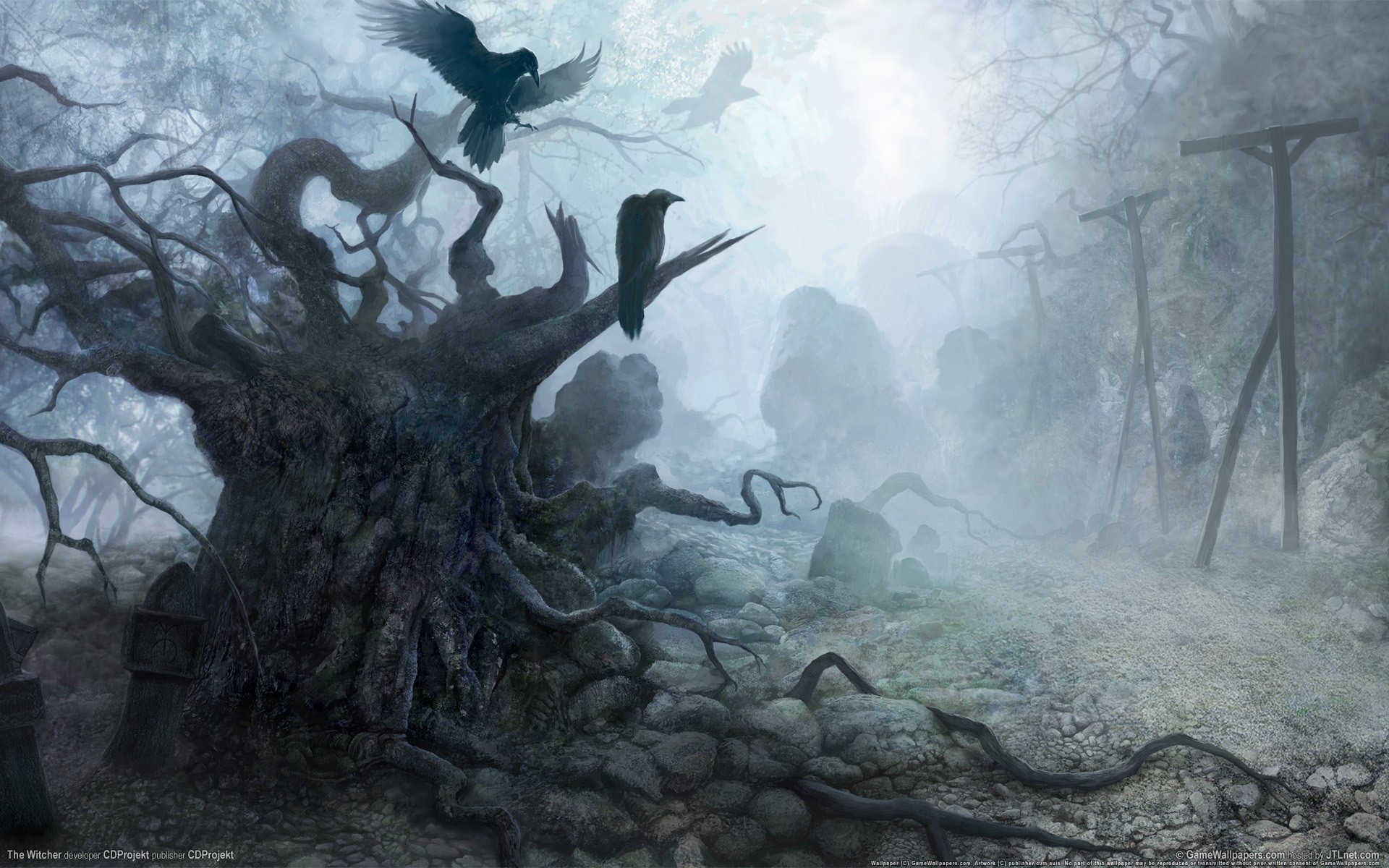 raven, Deep forest, Mist, The Witcher Wallpaper
