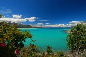 nature, Photography, Landscape, Lake, Turquoise, Water, Trees, Mountains, Wildflowers, Wind, Clouds, Patagonia, Chile