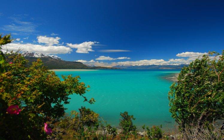nature, Photography, Landscape, Lake, Turquoise, Water, Trees, Mountains, Wildflowers, Wind, Clouds, Patagonia, Chile HD Wallpaper Desktop Background