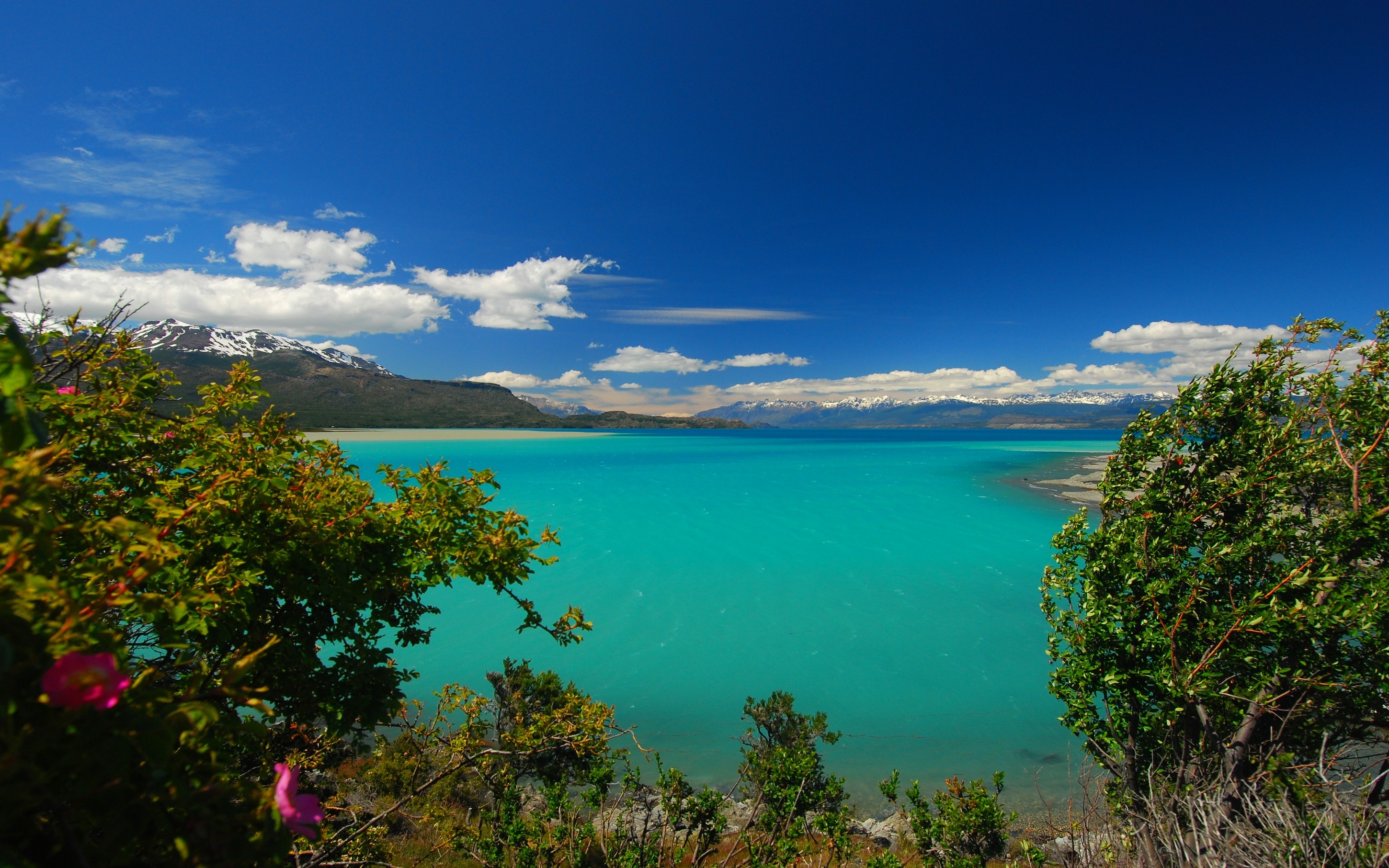 nature, Photography, Landscape, Lake, Turquoise, Water, Trees, Mountains, Wildflowers, Wind, Clouds, Patagonia, Chile Wallpaper
