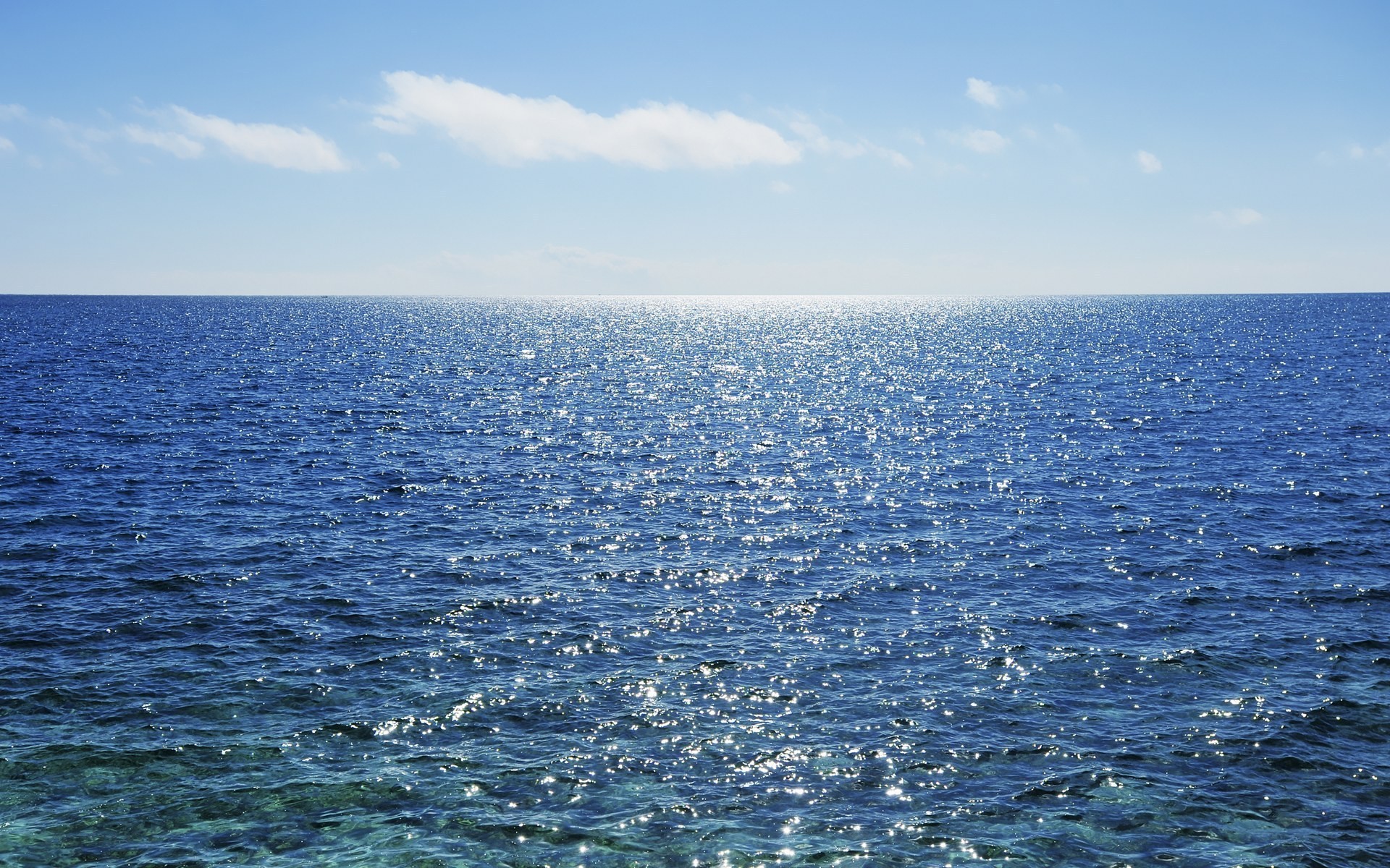 sea Wallpaper
