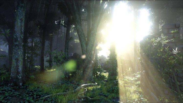Ark: Survival Evolved, Video games, The Island, Sunlight, Jungle HD Wallpaper Desktop Background