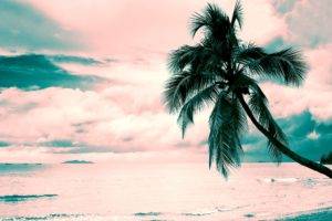beach, Pink, Turquoise, Coconut palms, Clouds, Pink clouds