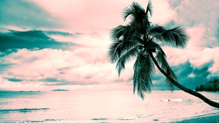 beach, Pink, Turquoise, Coconut palms, Clouds, Pink clouds HD Wallpaper Desktop Background