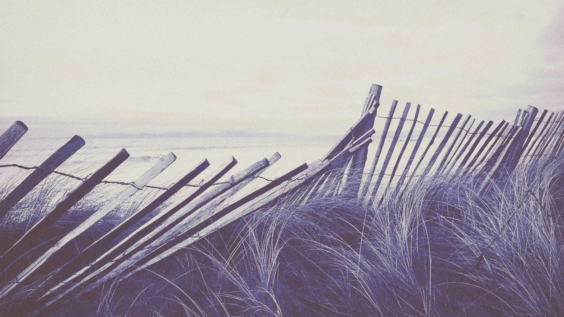 fence, Dry grass, Broken Wallpaper