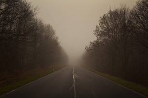 road, Mist, Trees, Forest, Depth of field