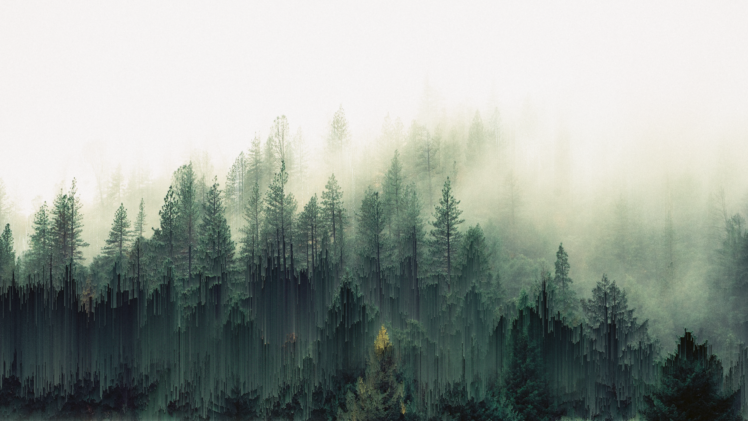 forest, Trees, Mist, Pixel sorting HD Wallpaper Desktop Background