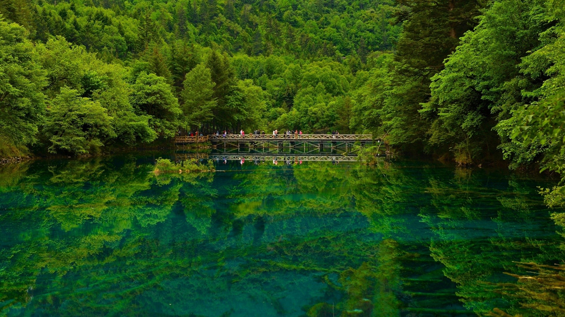 people, Nature, Landscape, Trees, Forest, China, Lake, Water, Bridge, Reflection Wallpaper