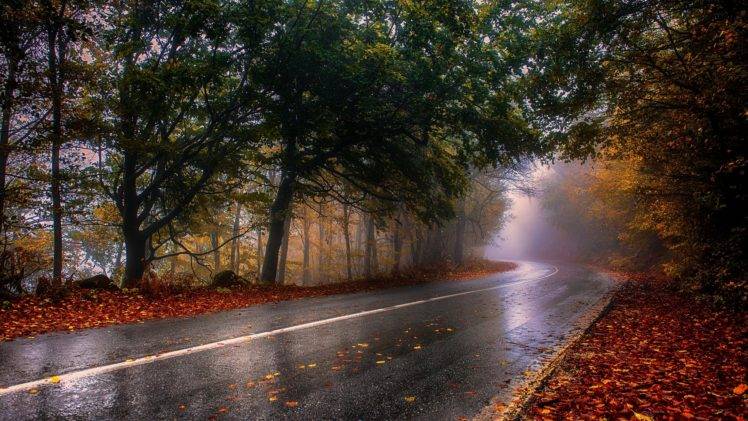 nature, Photography, Landscape, Wet, Fall, Road, Mist, Trees, Leaves, Asphalt, Forest, Greece HD Wallpaper Desktop Background