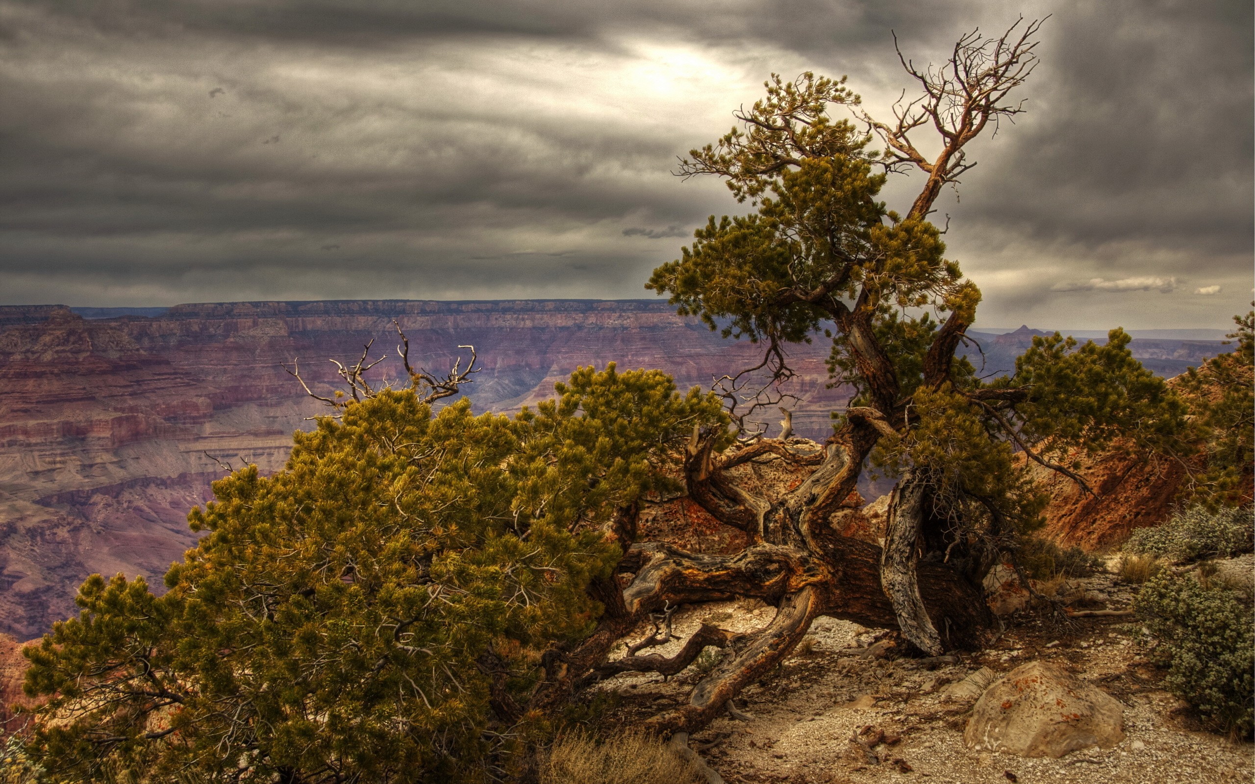 nature, Landscape, HDR, Trees, Clouds Wallpaper