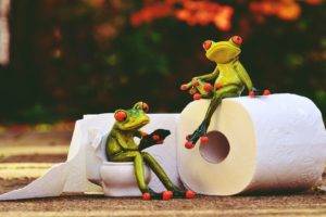 Retro style, Frog, Toilet paper, Animals, Situation, Vintage